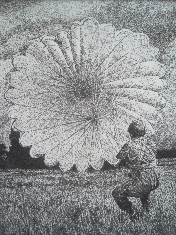 Seeds to the wind by Jon England. poppy seeds and varnish (£2,200)